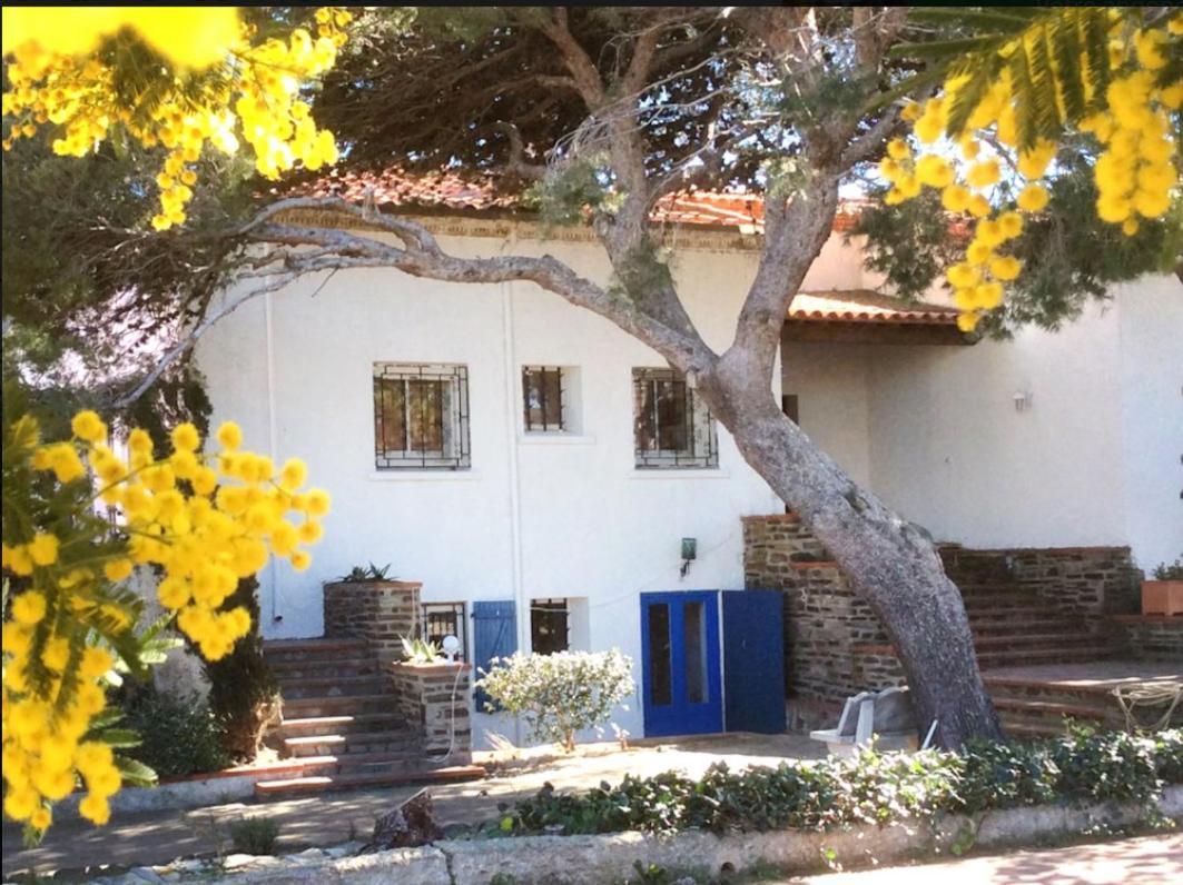 Villa Bleue - Les Pins Пор-Вандр Экстерьер фото