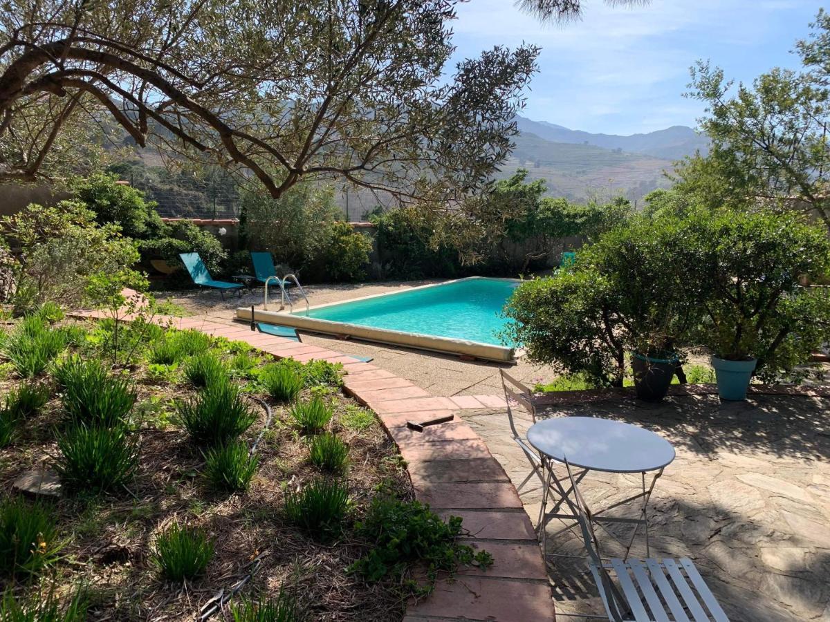 Villa Bleue - Les Pins Пор-Вандр Экстерьер фото