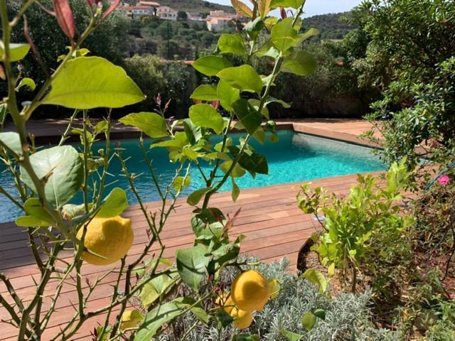 Villa Bleue - Les Pins Пор-Вандр Экстерьер фото